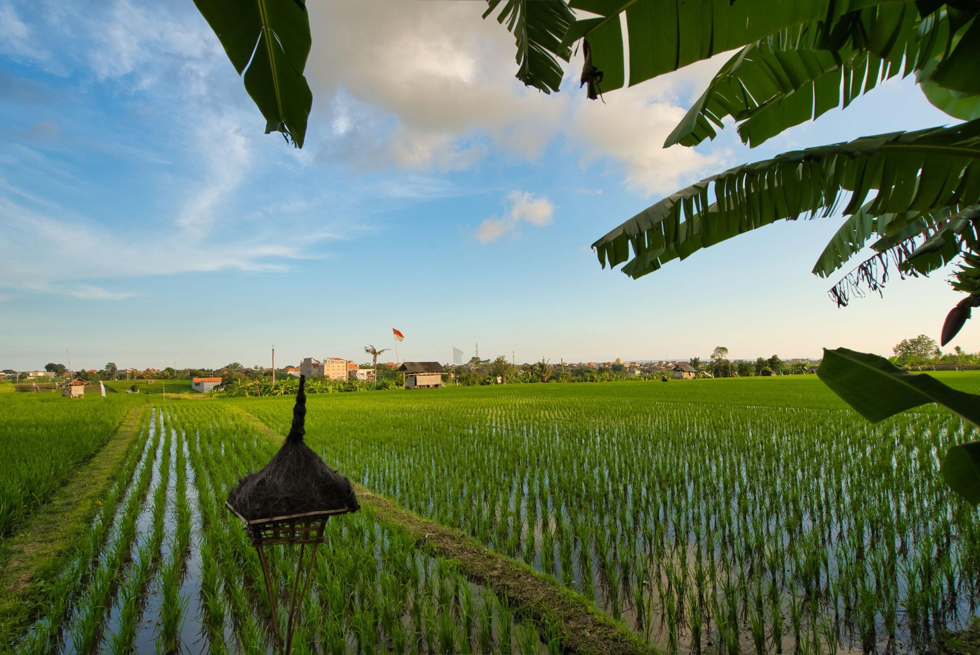 Sotis Villas ชังกู ภายนอก รูปภาพ