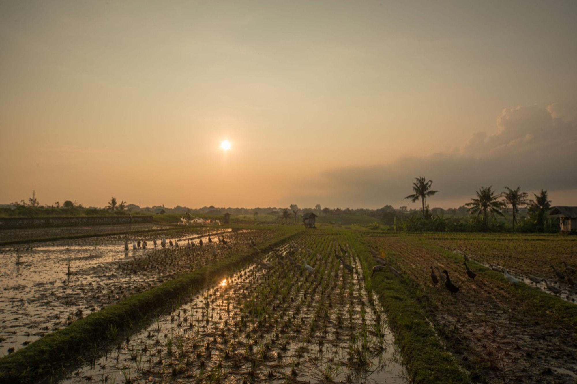 Sotis Villas ชังกู ภายนอก รูปภาพ